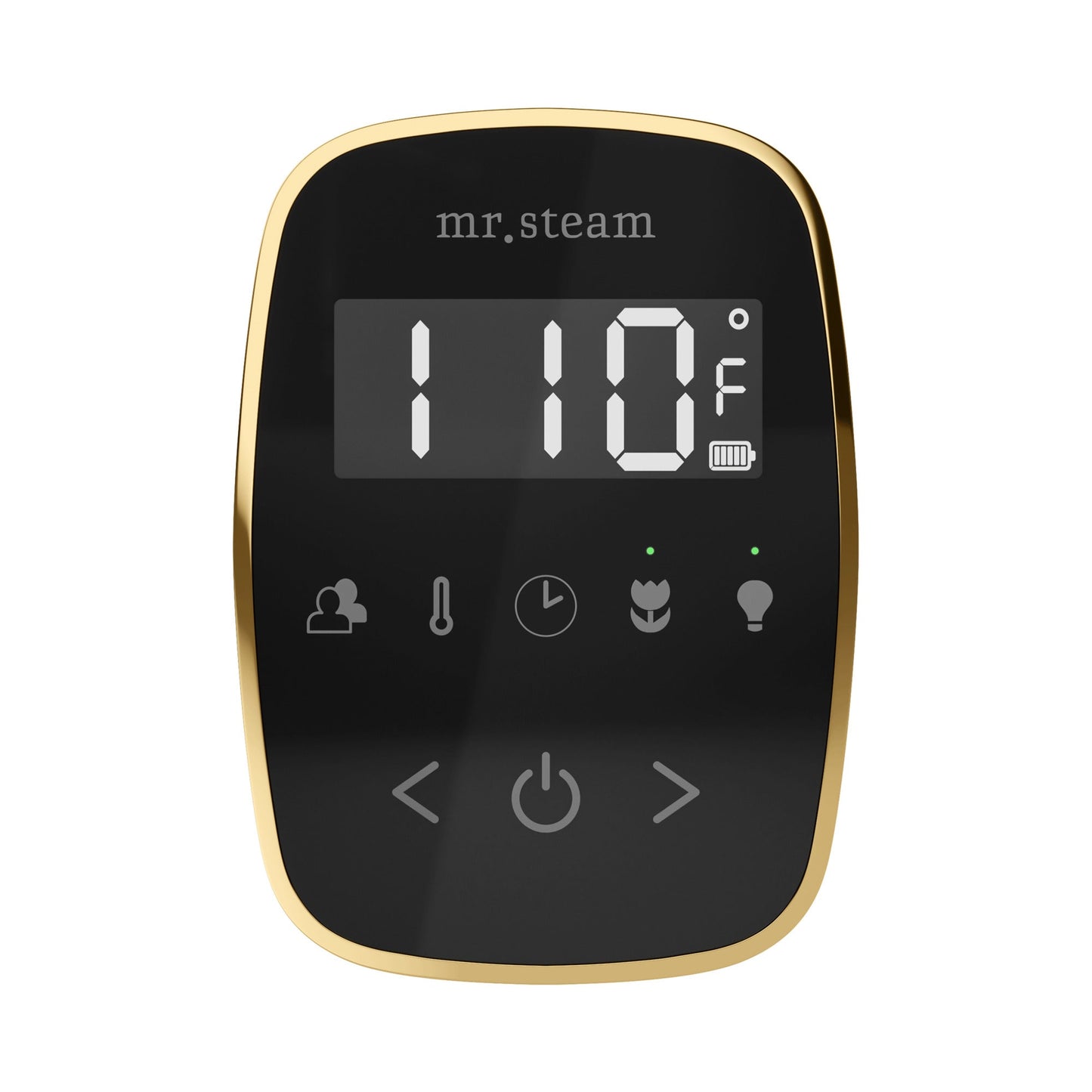 Mr. Steam TempoFlex Steam Shower Control and Steamhead