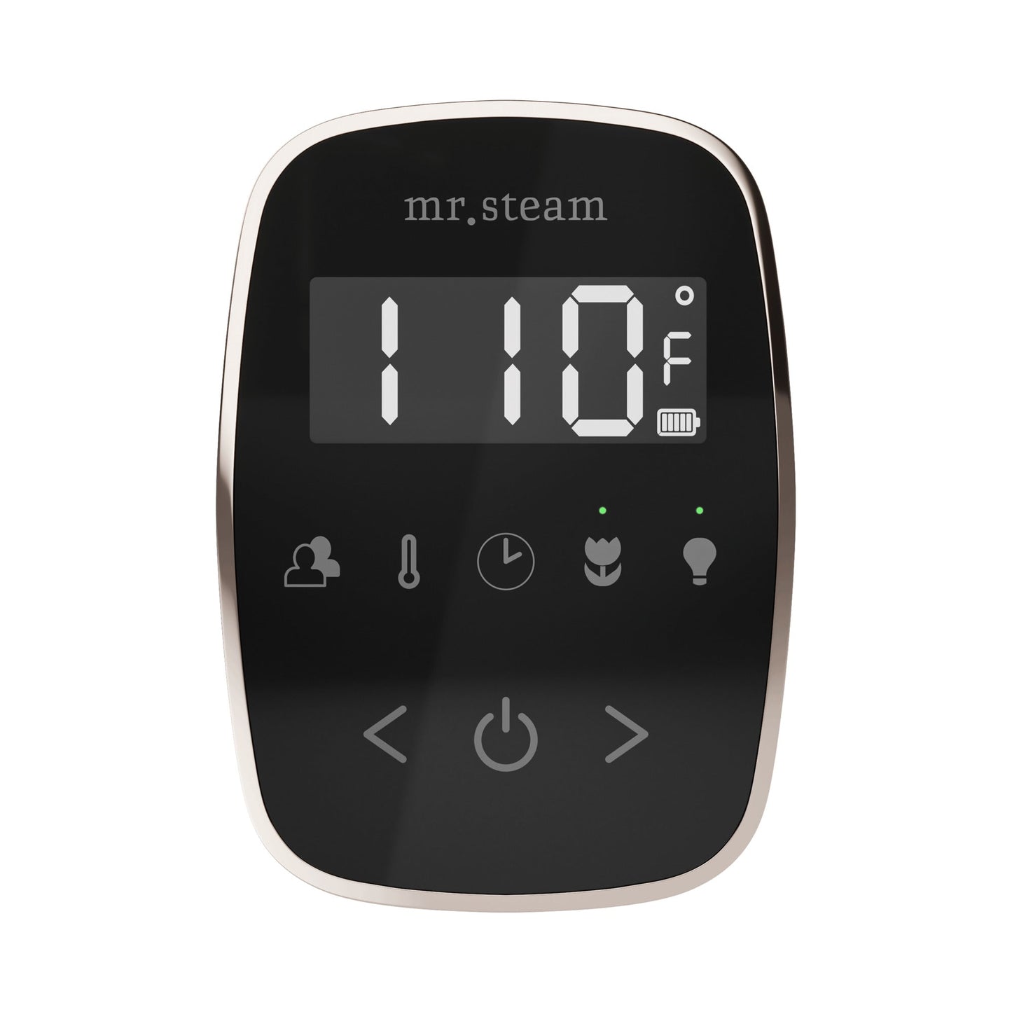 Mr. Steam TempoFlex Steam Shower Control and Steamhead