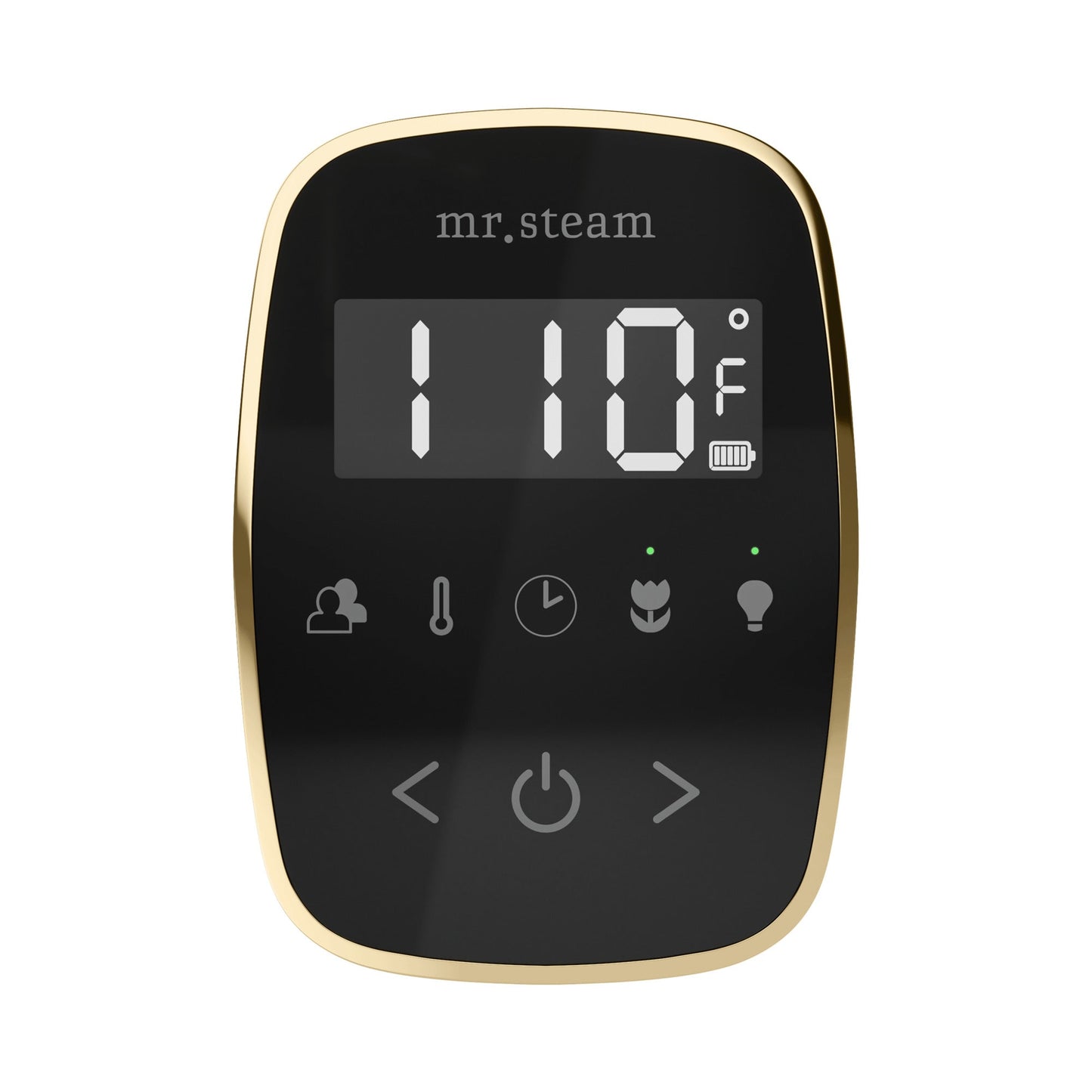 Mr. Steam TempoFlex Steam Shower Control and Steamhead
