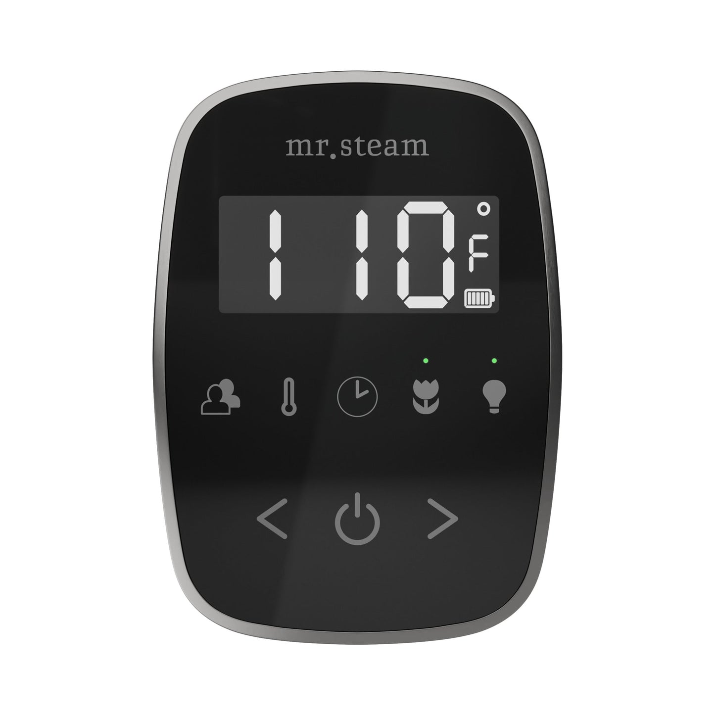Mr. Steam TempoFlex Steam Shower Control and Steamhead