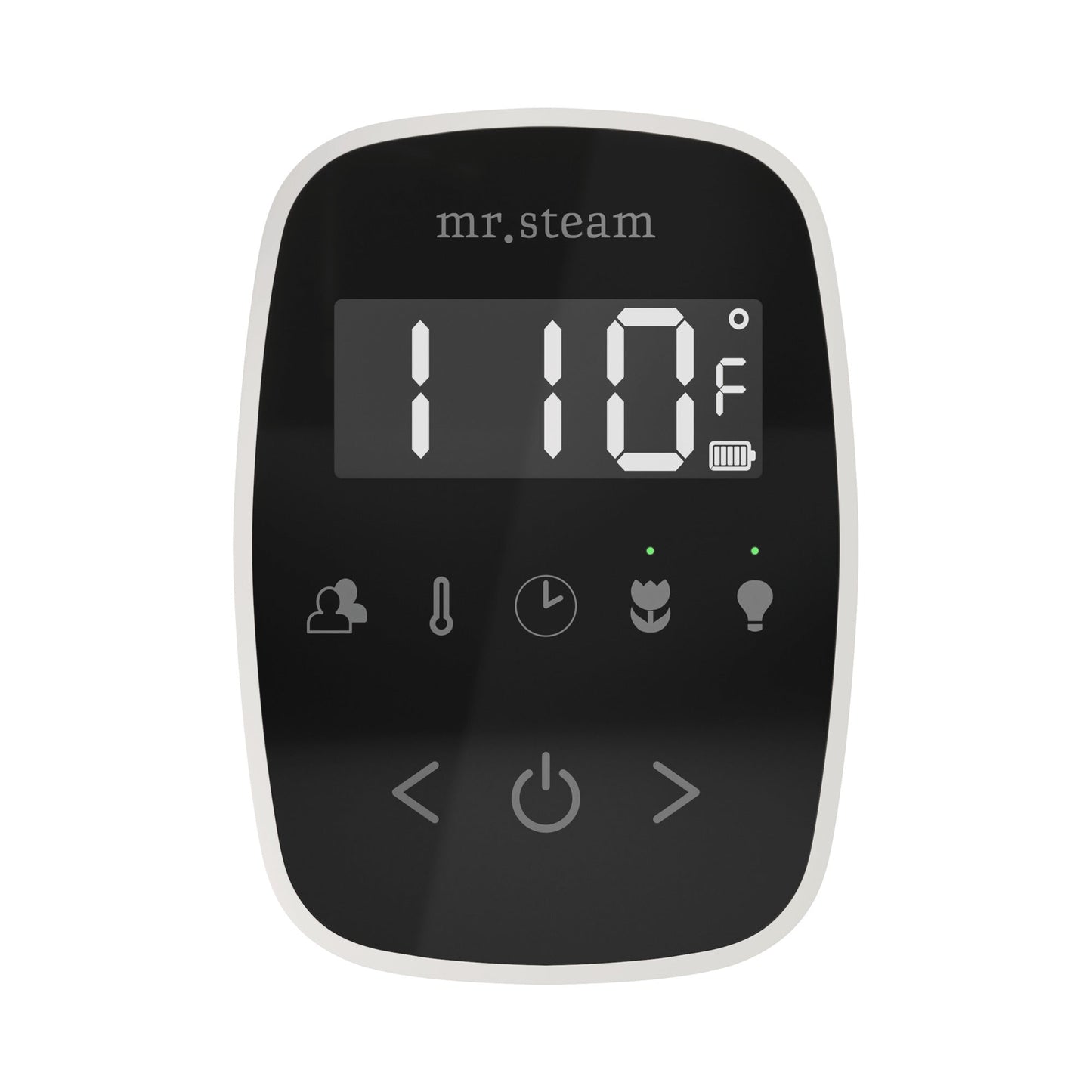 Mr. Steam TempoFlex Steam Shower Control and Steamhead