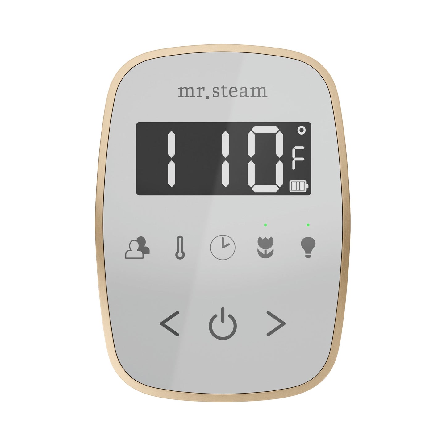 Mr. Steam TempoFlex Wireless Steam Shower Control and Steamhead