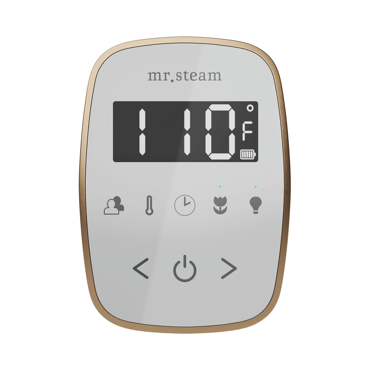 Mr. Steam TempoFlex Wireless Steam Shower Control and Steamhead