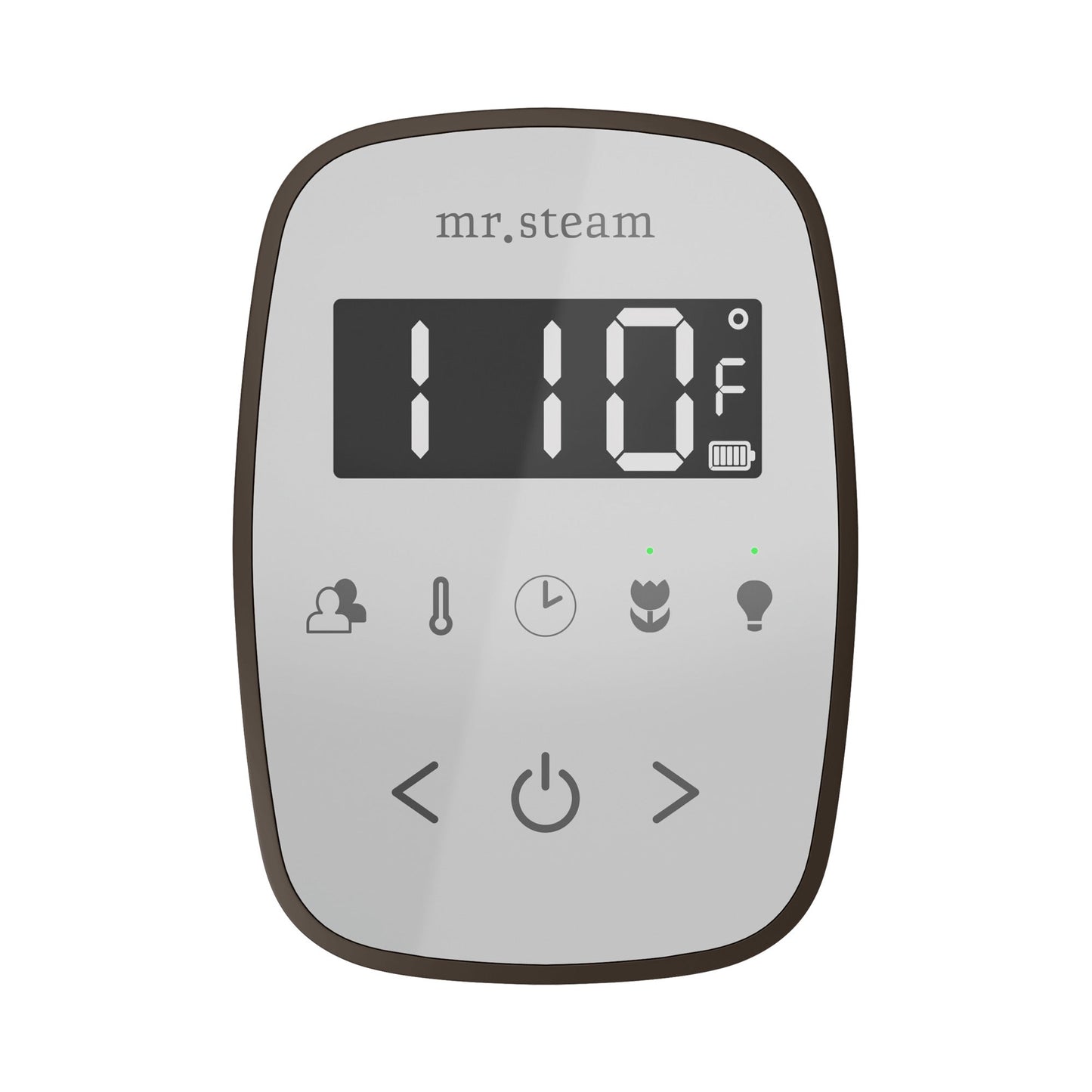 Mr. Steam TempoFlex Wireless Steam Shower Control and Steamhead