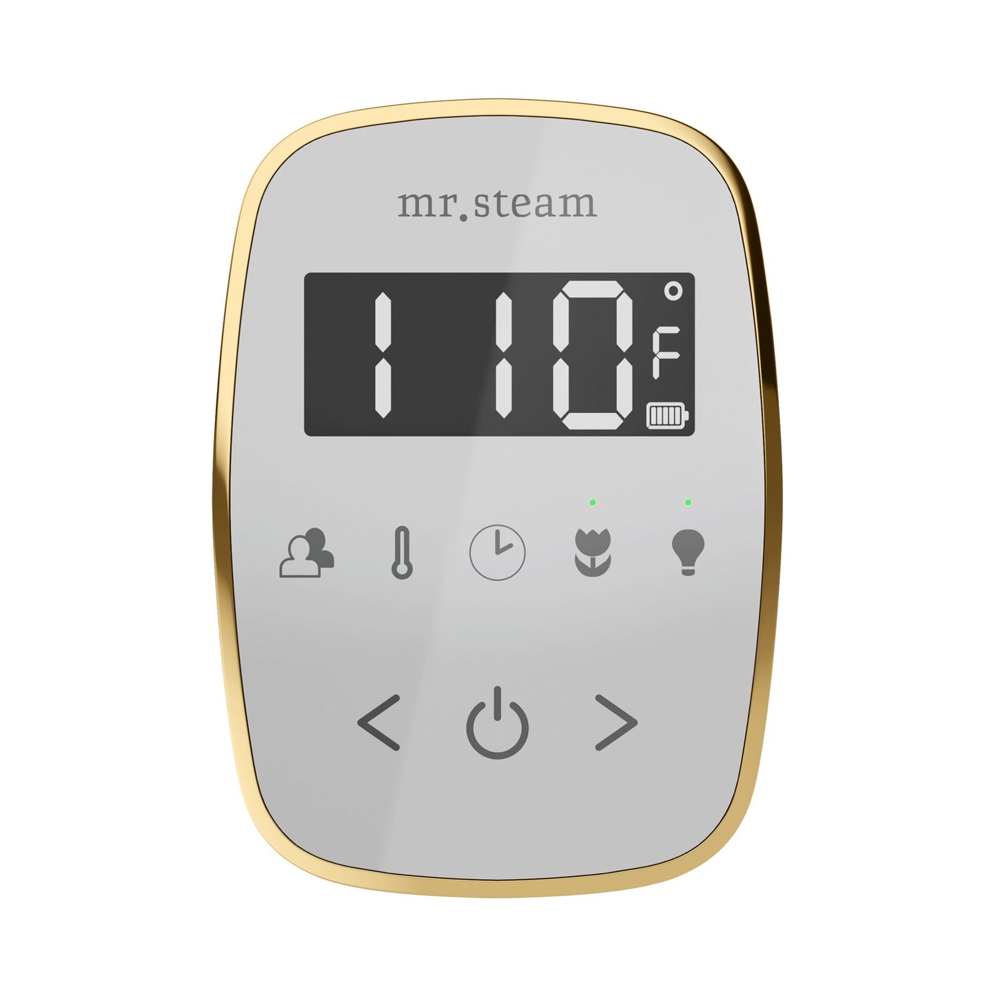 Mr. Steam TempoFlex Wireless Steam Shower Control and Steamhead