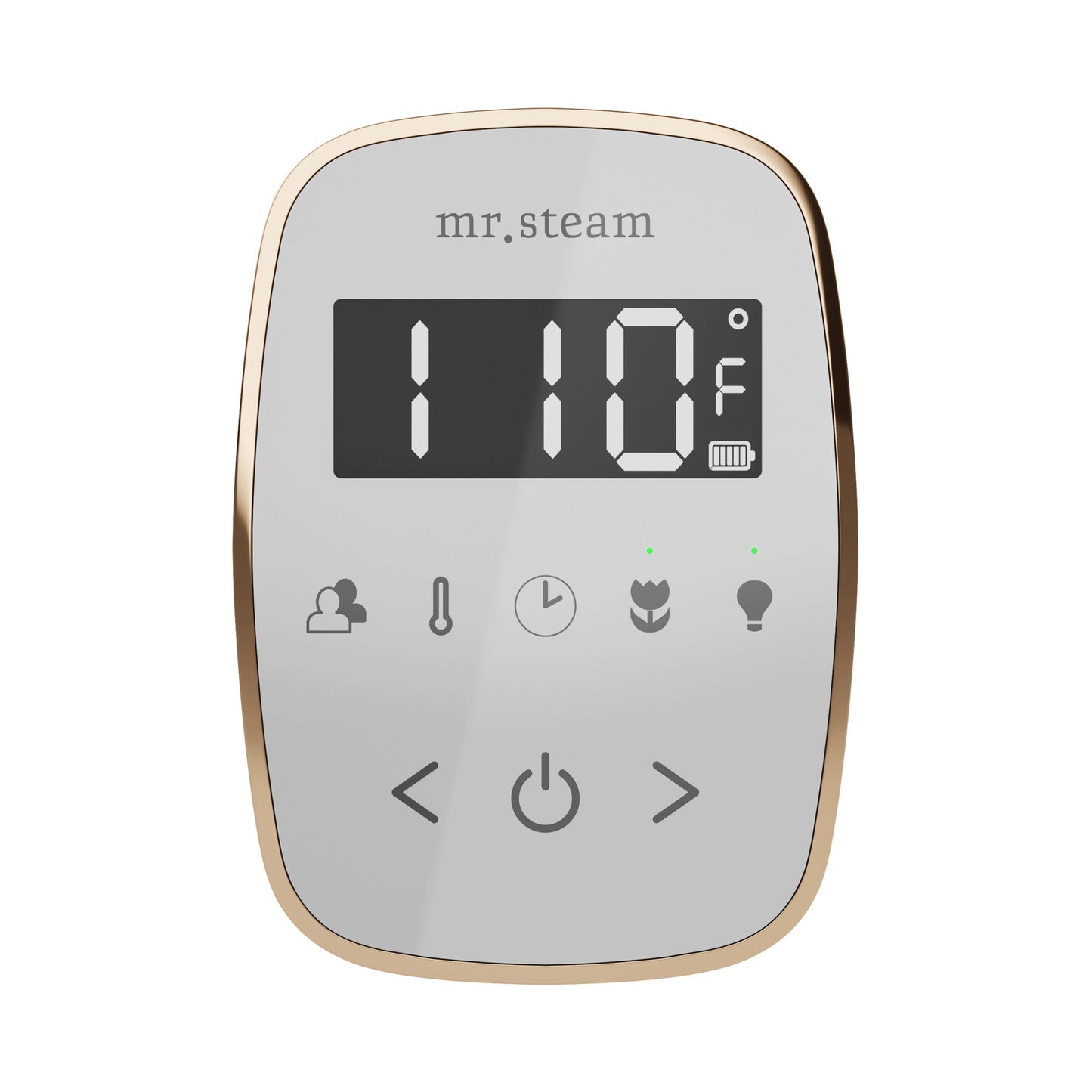 Mr. Steam TempoFlex Wireless Steam Shower Control and Steamhead