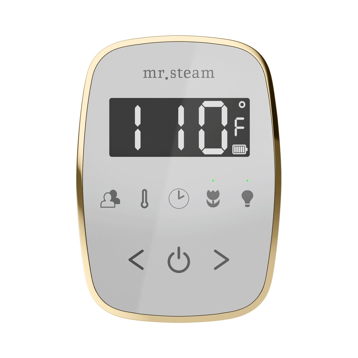 Mr. Steam TempoFlex Wireless Steam Shower Control and Steamhead