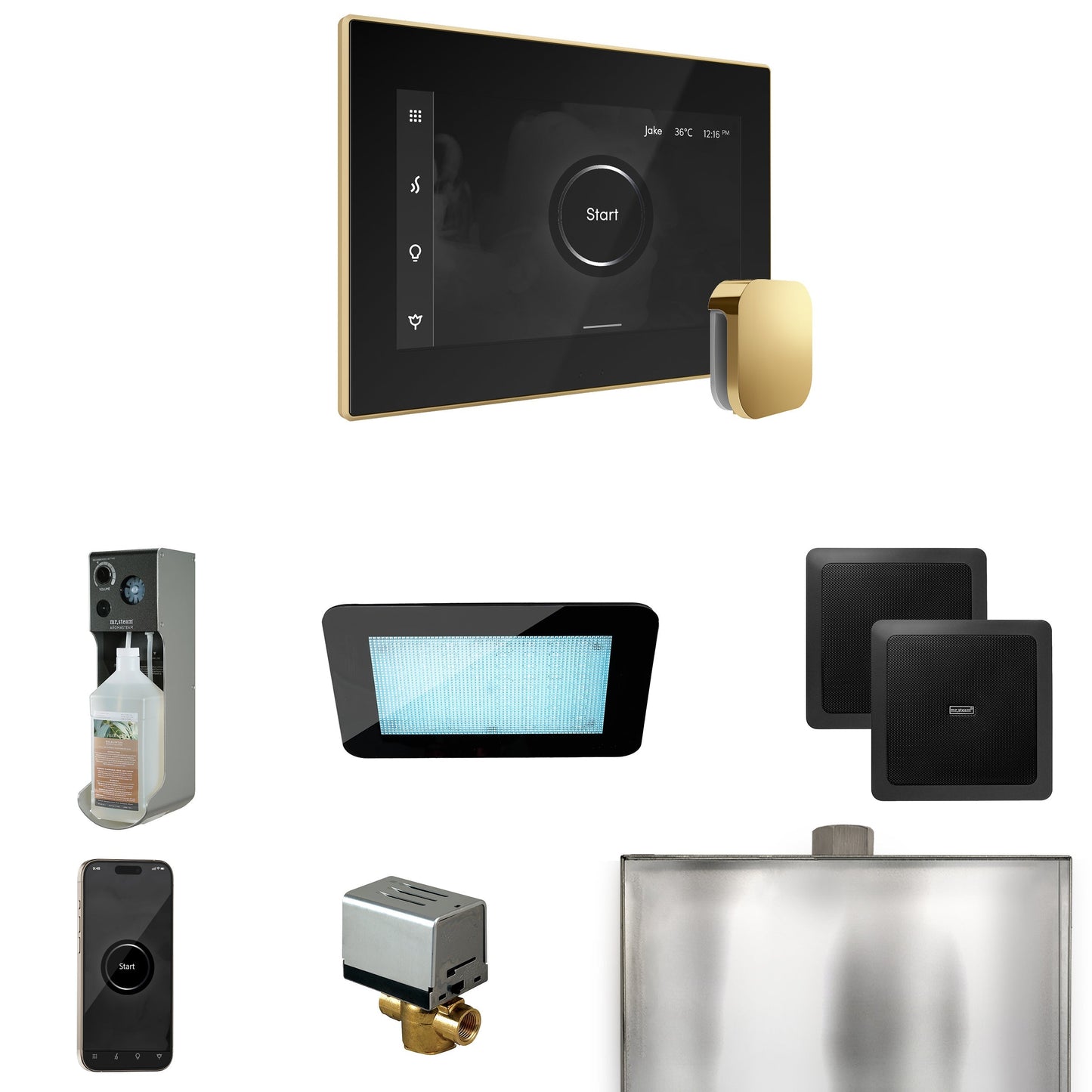 Mr. Steam XDream Steam Shower Control Package with iSteamX Control and Steamhead