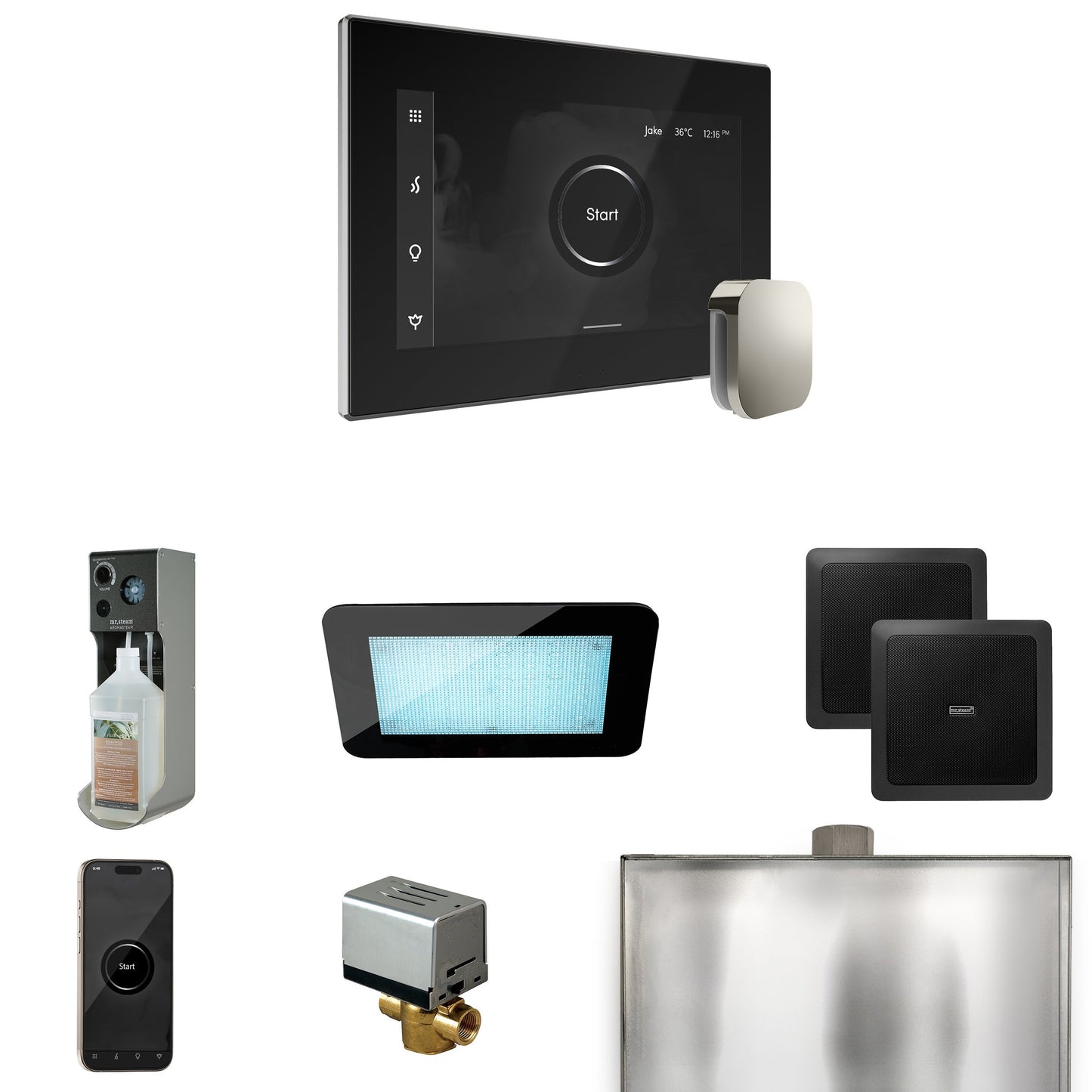 Mr. Steam XDream Steam Shower Control Package with iSteamX Control and Steamhead