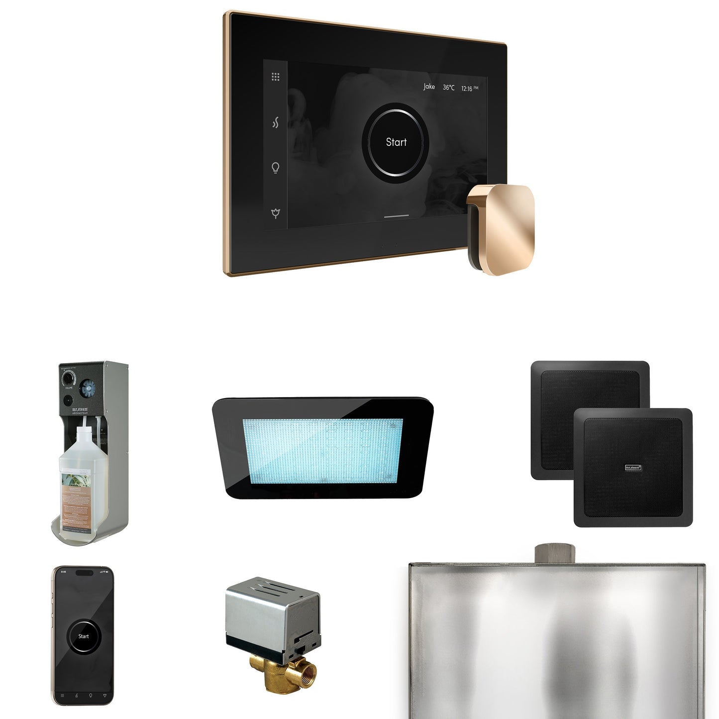 Mr. Steam XDream Steam Shower Control Package with iSteamX Control and Steamhead