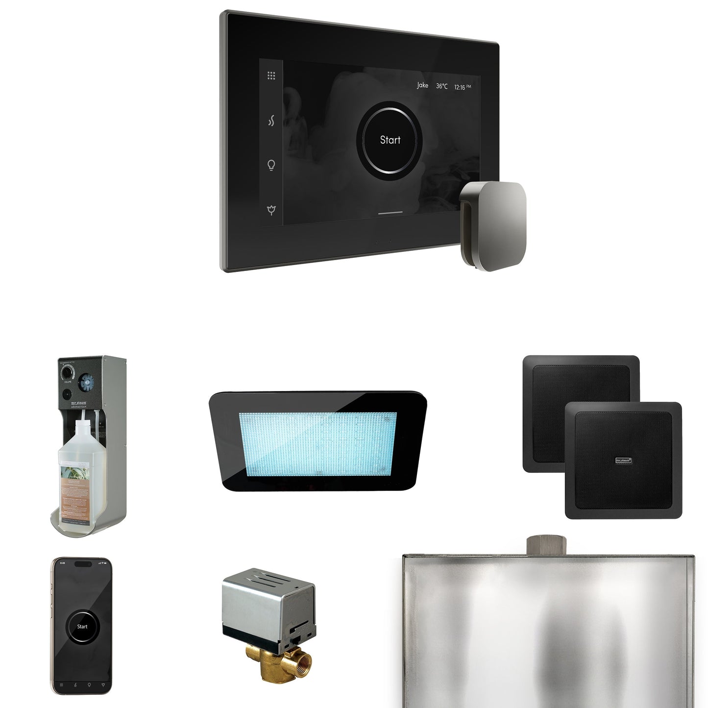 Mr. Steam XDream Steam Shower Control Package with iSteamX Control and Steamhead