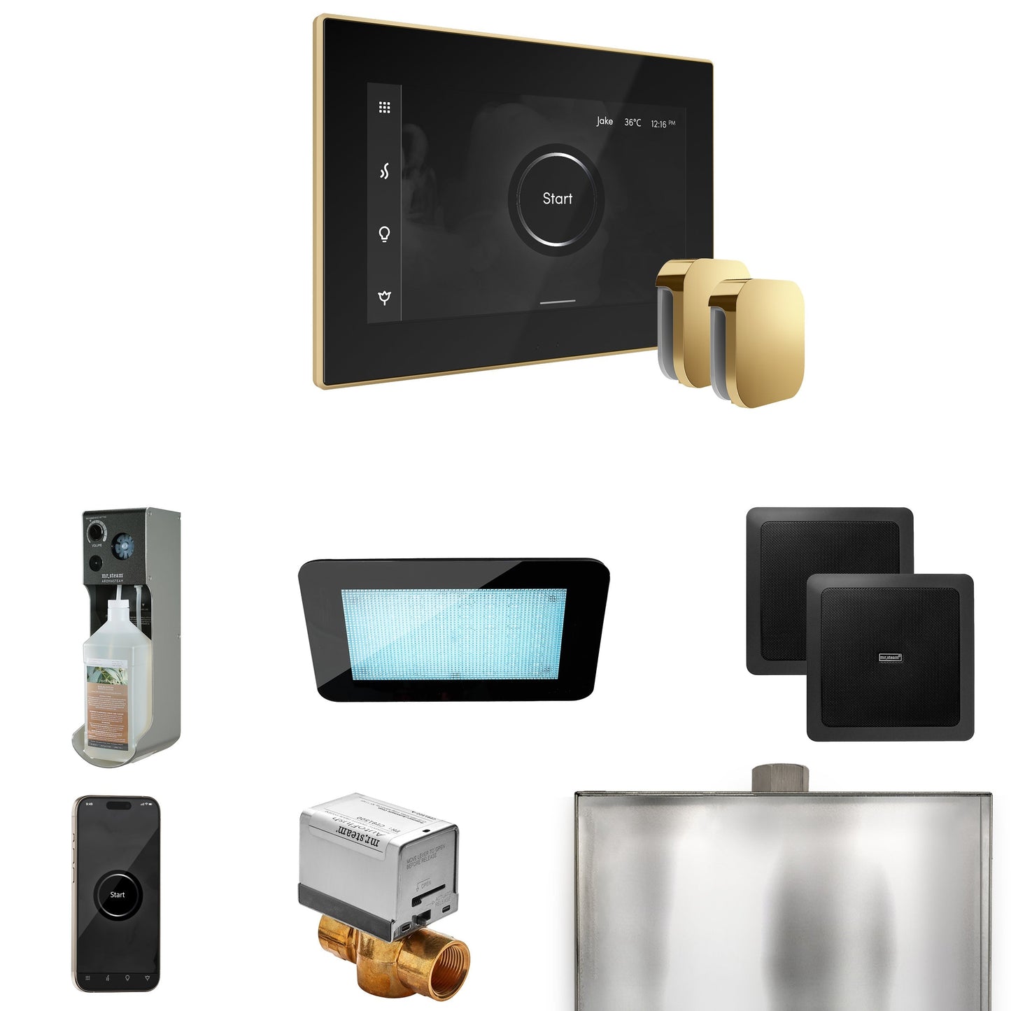 Mr. Steam XDream Max Steam Shower Control Package with iSteamX Control and Steamhead