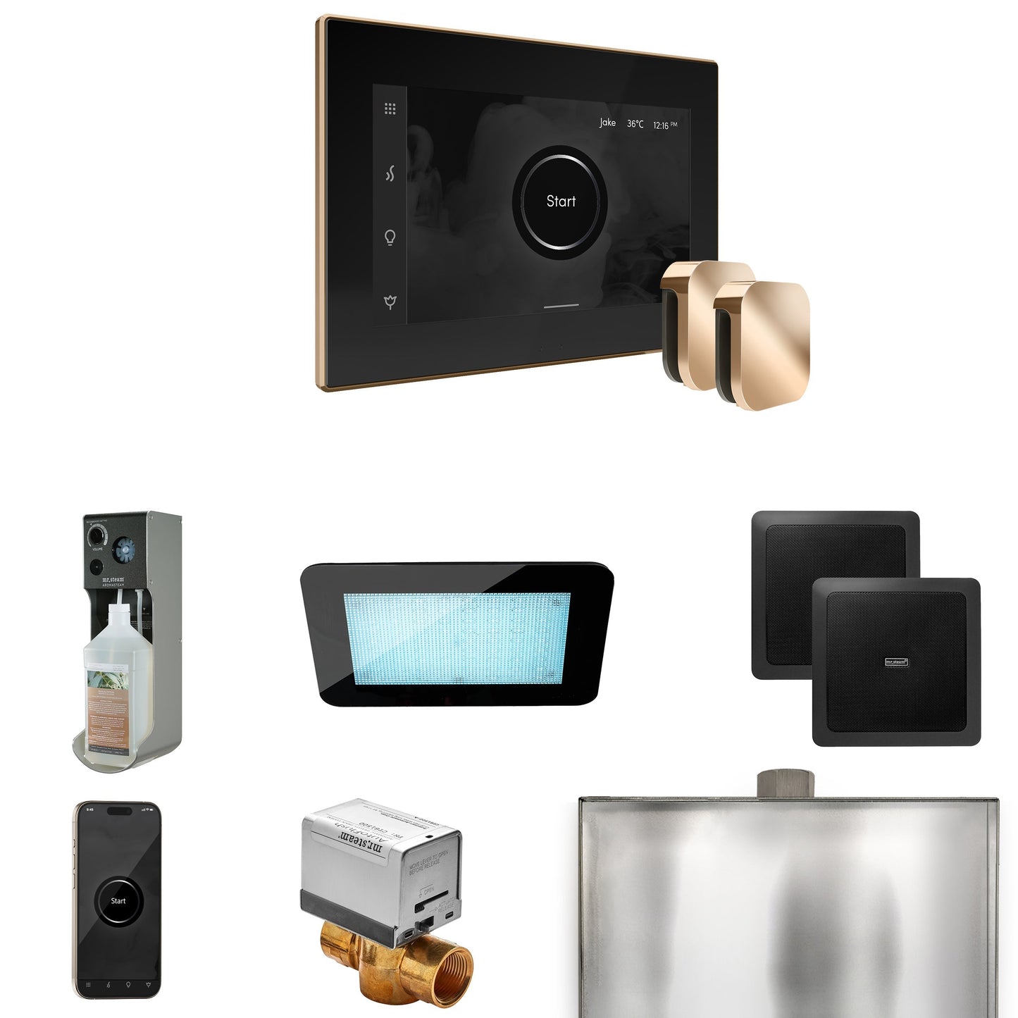 Mr. Steam XDream Max Steam Shower Control Package with iSteamX Control and Steamhead