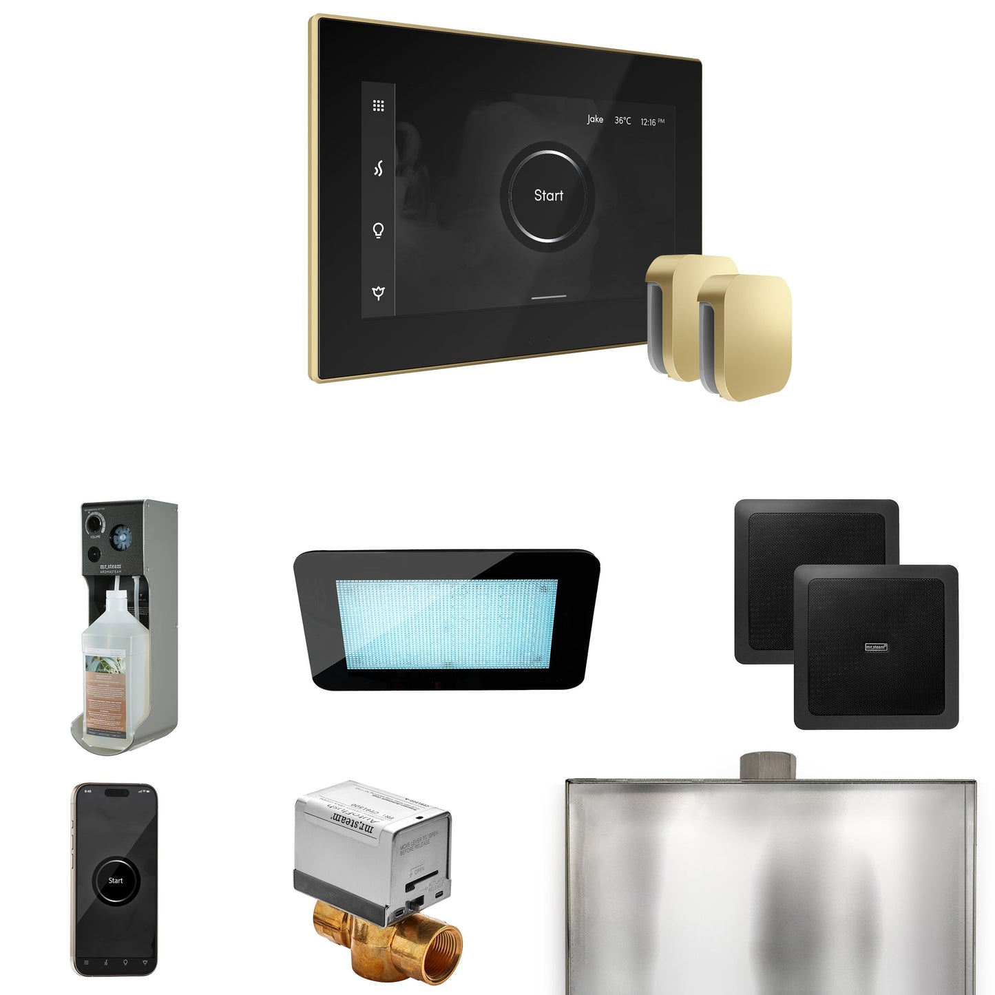 Mr. Steam XDream Max Steam Shower Control Package with iSteamX Control and Steamhead