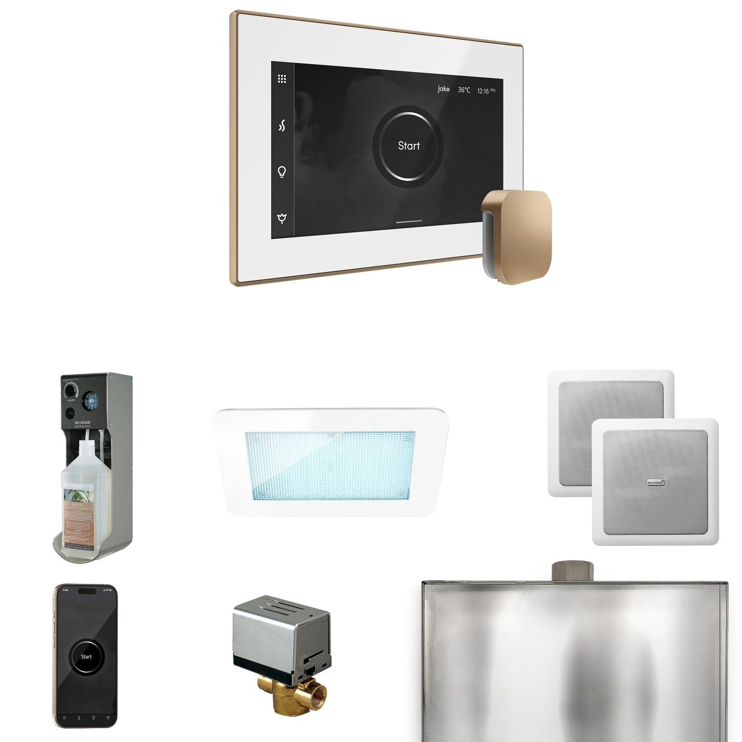 Mr. Steam XDream Steam Shower Control Package with iSteamX Control and Steamhead