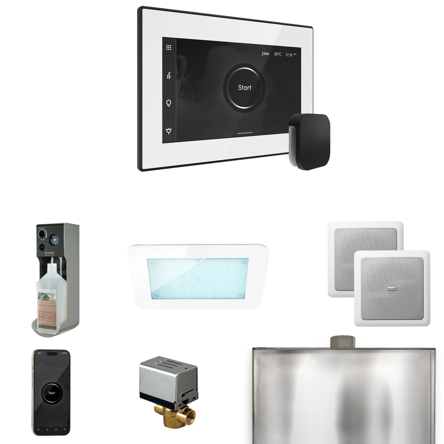Mr. Steam XDream Steam Shower Control Package with iSteamX Control and Steamhead