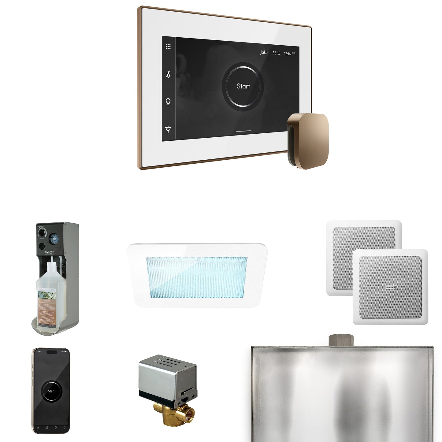 Mr. Steam XDream Steam Shower Control Package with iSteamX Control and Steamhead