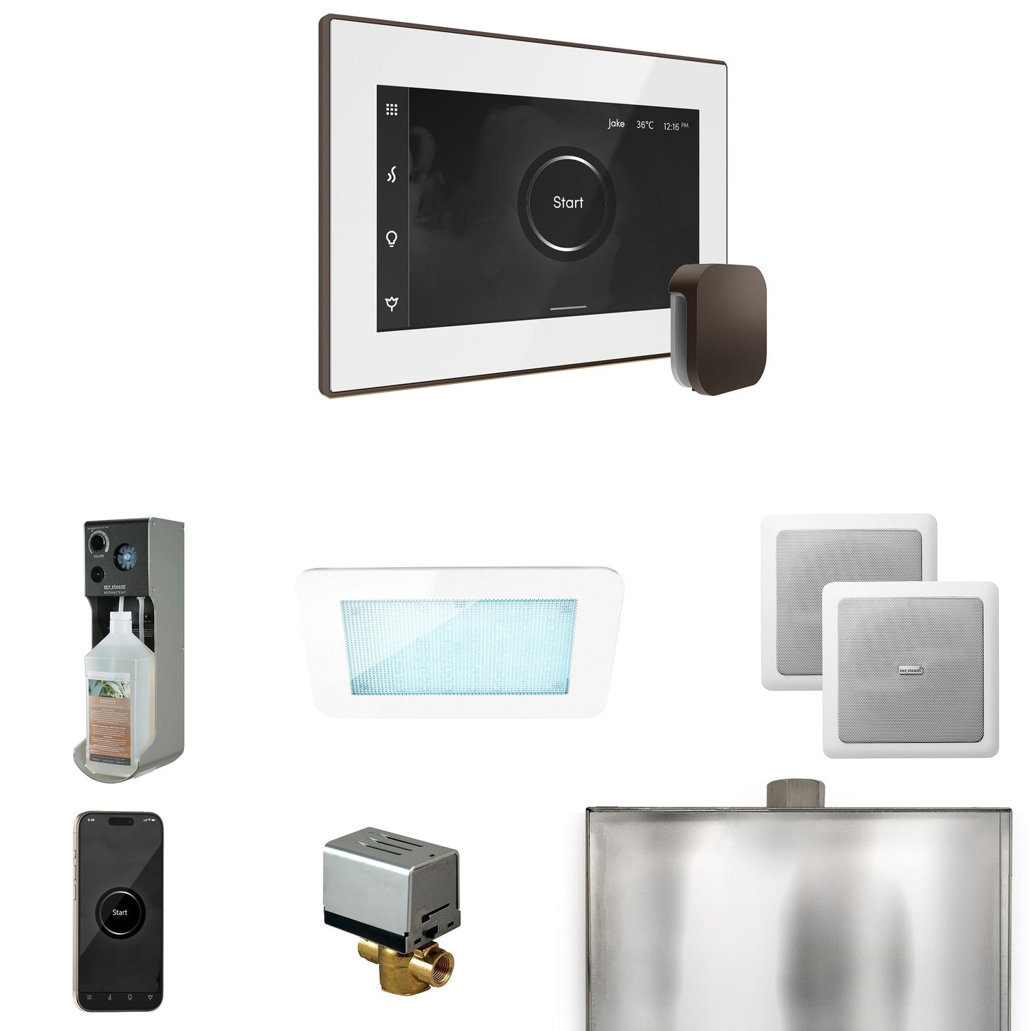 Mr. Steam XDream Steam Shower Control Package with iSteamX Control and Steamhead