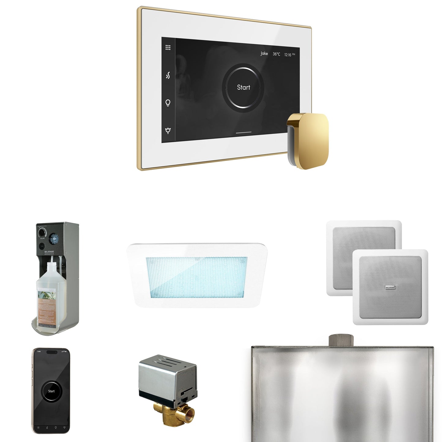 Mr. Steam XDream Steam Shower Control Package with iSteamX Control and Steamhead