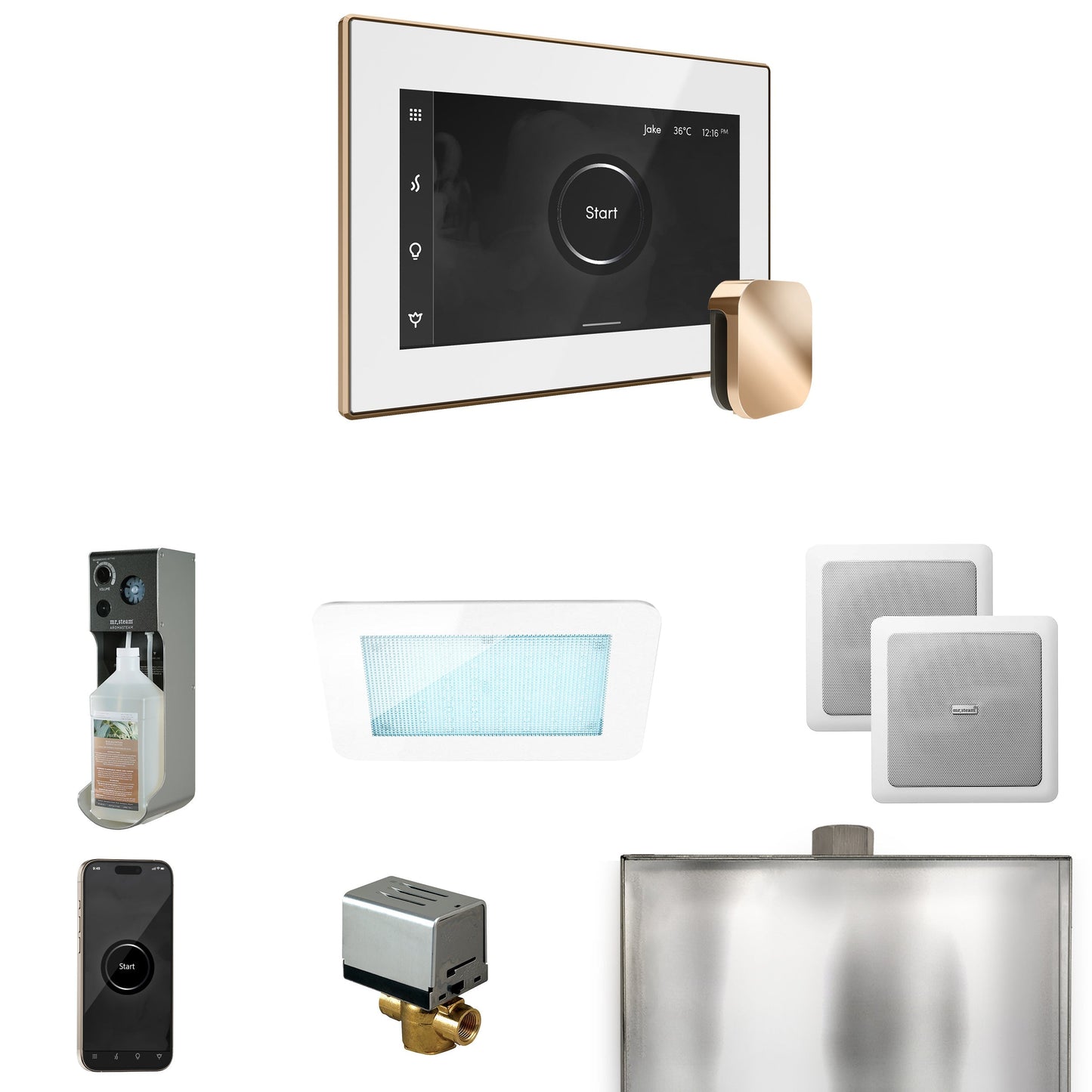 Mr. Steam XDream Steam Shower Control Package with iSteamX Control and Steamhead