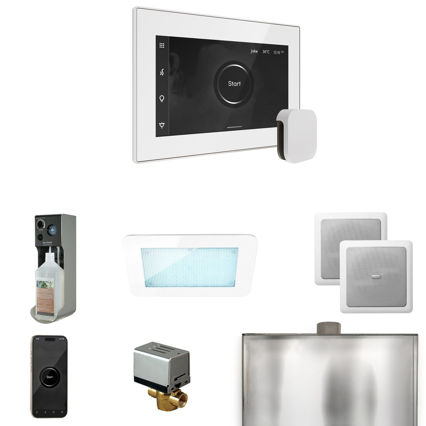 Mr. Steam XDream Steam Shower Control Package with iSteamX Control and Steamhead