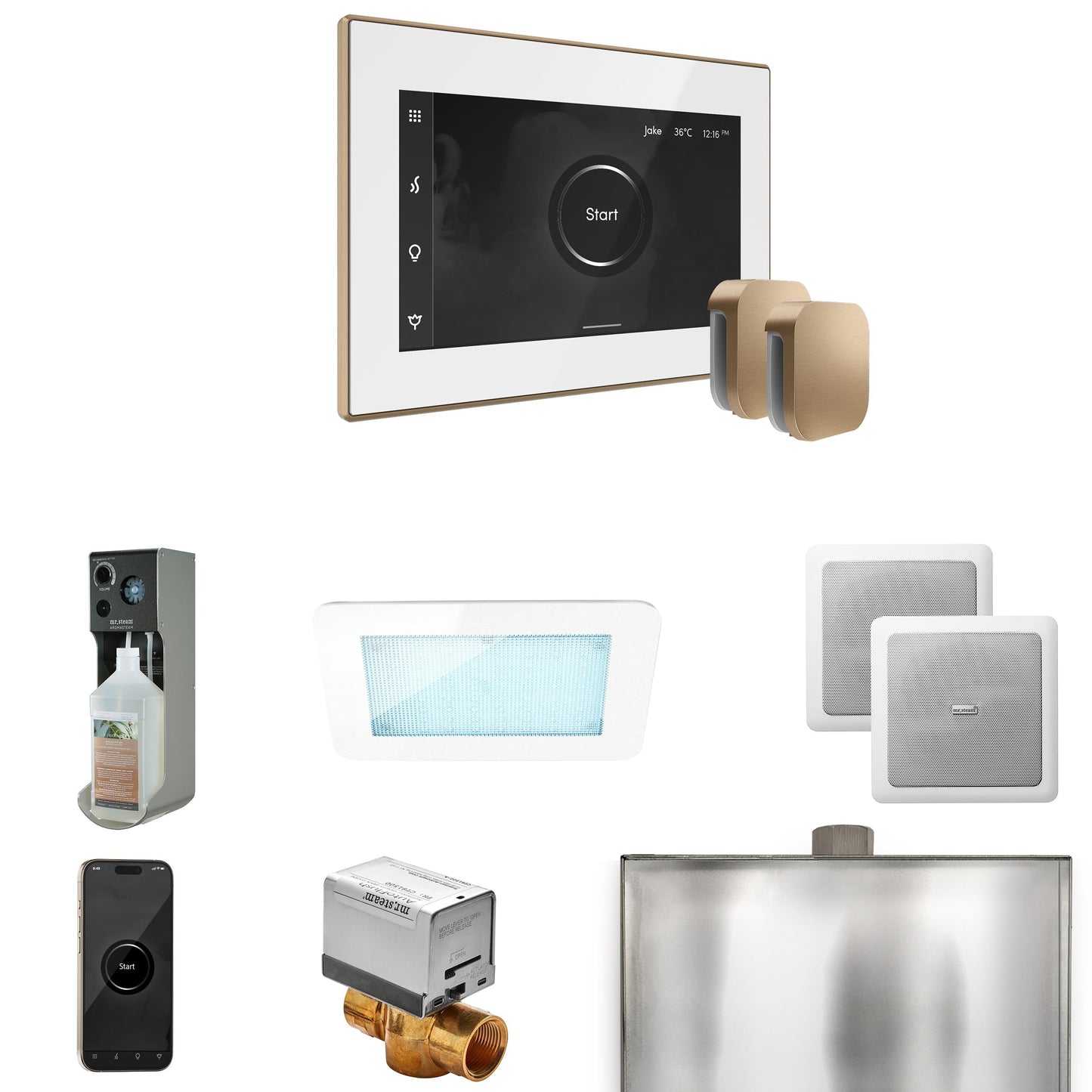 Mr. Steam XDream Max Steam Shower Control Package with iSteamX Control and Steamhead