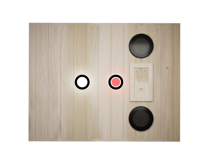 XY-909MB-R Far Infrared Sauna Room with Bluetooth Audio