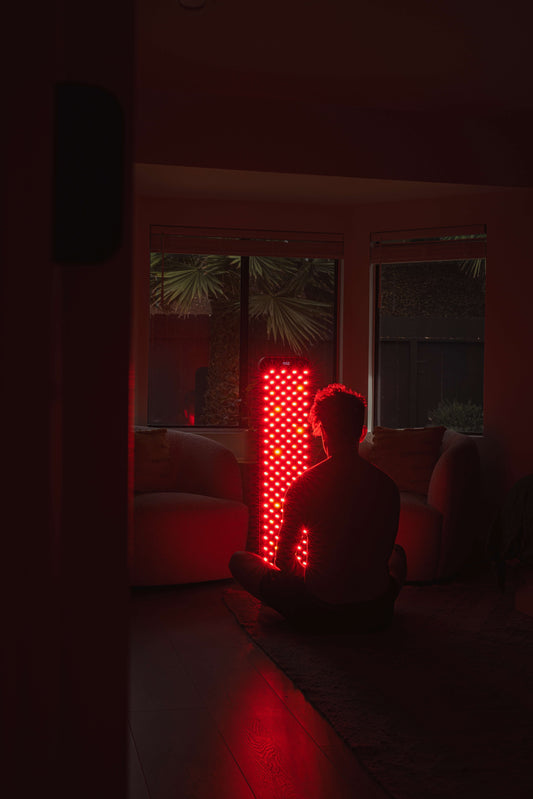 Renew Red Light Large Panel