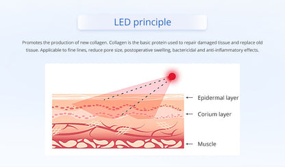 Shape Tactics Cryotherapy 40K Cavitation & RF Contouring System